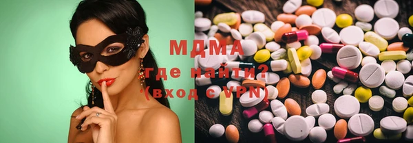 ГАЛЛЮЦИНОГЕННЫЕ ГРИБЫ Дмитриев