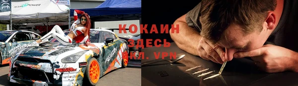 стафф Дмитров