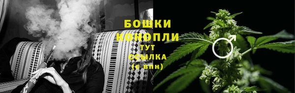 ГАЛЛЮЦИНОГЕННЫЕ ГРИБЫ Дмитриев