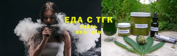 индика Дмитровск