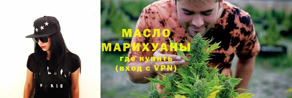 прущие грибы Елабуга