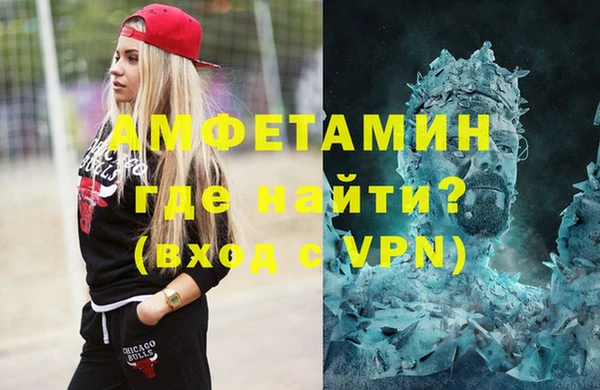 индика Дмитровск