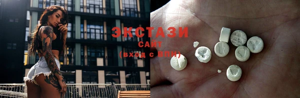 ГАЛЛЮЦИНОГЕННЫЕ ГРИБЫ Дмитриев