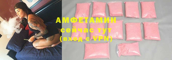 индика Дмитровск