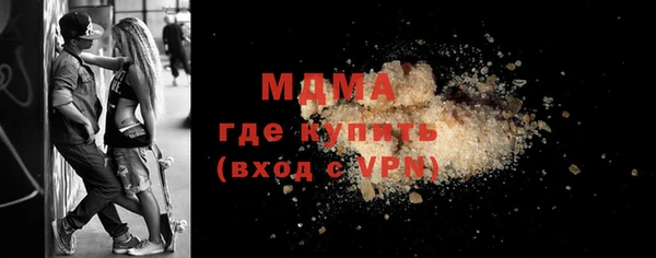 ГАЛЛЮЦИНОГЕННЫЕ ГРИБЫ Дмитриев