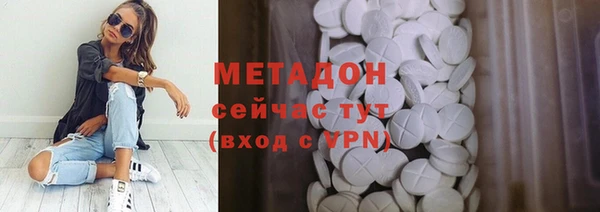 ГАЛЛЮЦИНОГЕННЫЕ ГРИБЫ Дмитриев