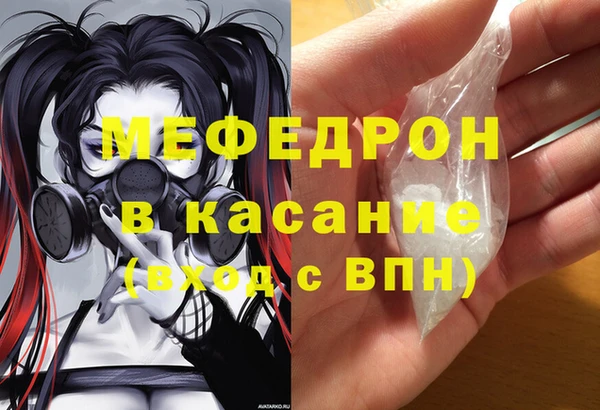 индика Дмитровск