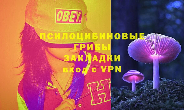 стафф Дмитров