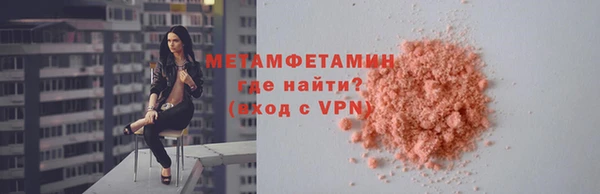 ГАЛЛЮЦИНОГЕННЫЕ ГРИБЫ Дмитриев