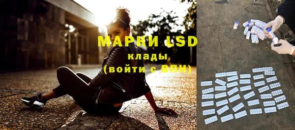 ГАЛЛЮЦИНОГЕННЫЕ ГРИБЫ Дмитриев