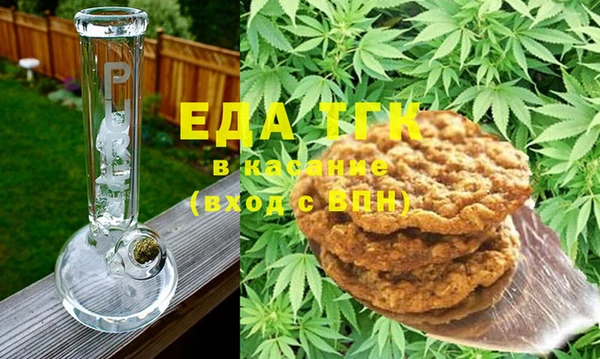 индика Дмитровск