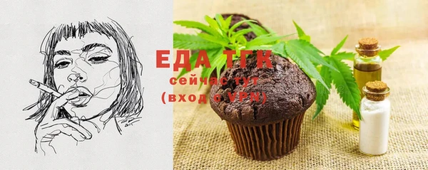 ГАЛЛЮЦИНОГЕННЫЕ ГРИБЫ Дмитриев
