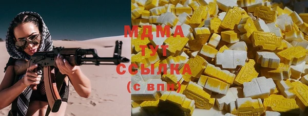 индика Дмитровск