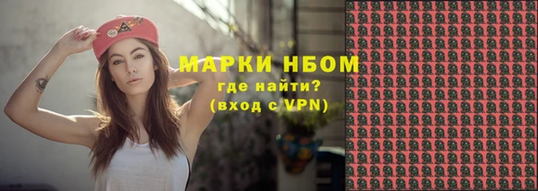 ГАЛЛЮЦИНОГЕННЫЕ ГРИБЫ Дмитриев