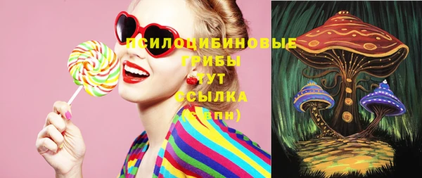 стафф Дмитров