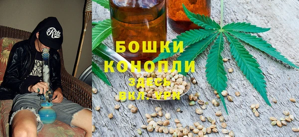 индика Дмитровск