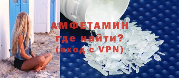 индика Дмитровск