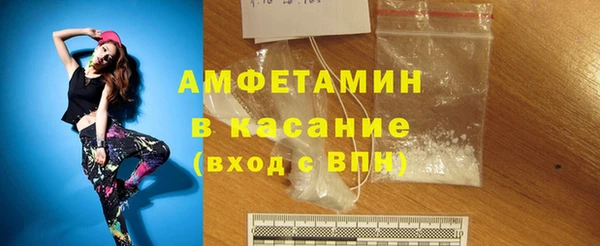 прущие грибы Елабуга