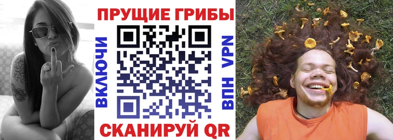 Псилоцибиновые грибы Psilocybine cubensis  Купить закладки  Светлогорск 