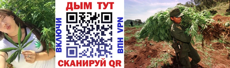 Купить  Светлогорск  МАРИХУАНА Ganja 